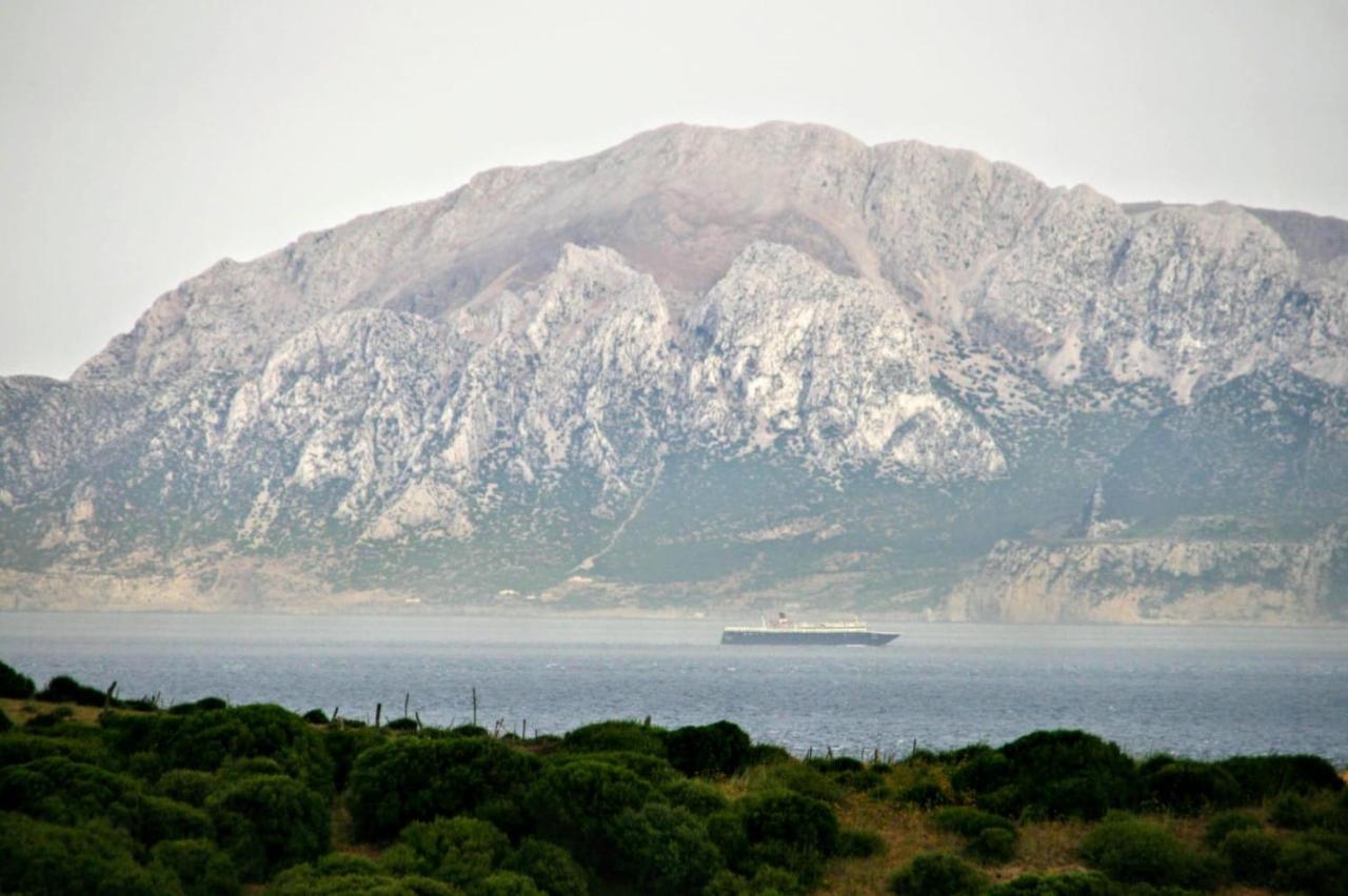 La Ballenita De Tarifa Buitenkant foto