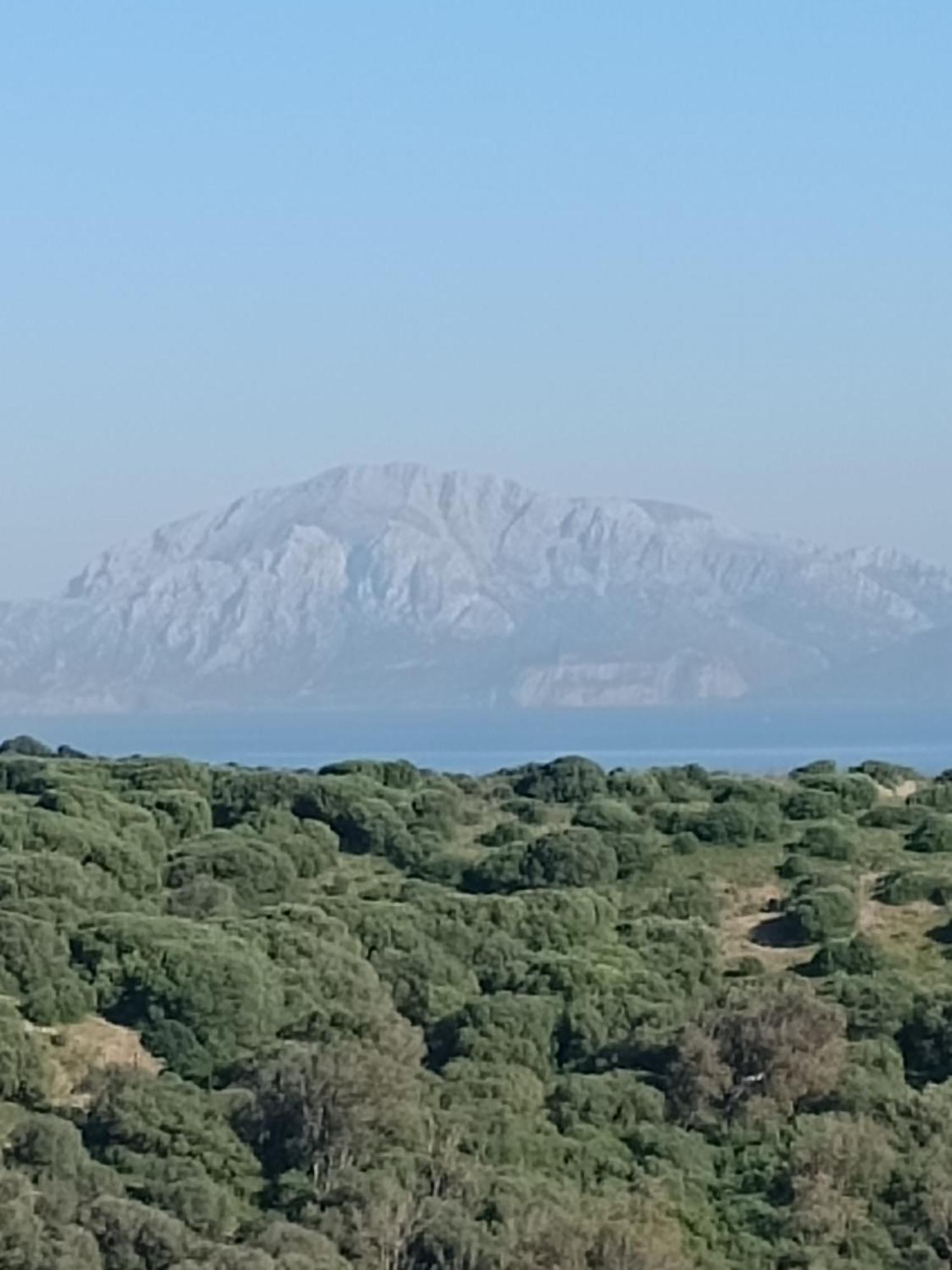 La Ballenita De Tarifa Buitenkant foto